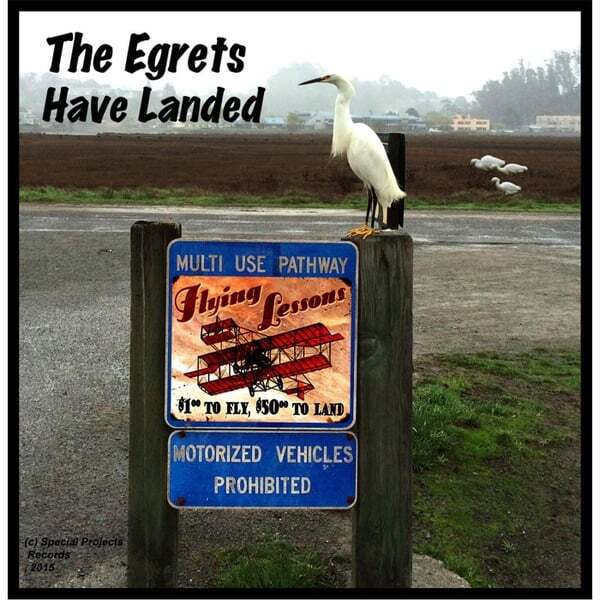 Cover art for The Egrets Have Landed